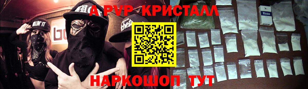 Альфа ПВП СК Архангельск