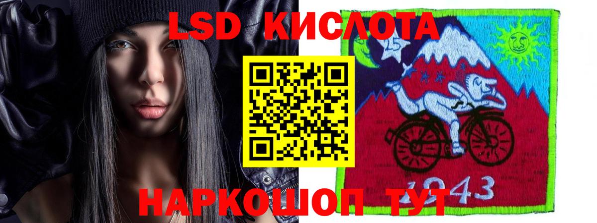 Бошки Шишки Архангельск