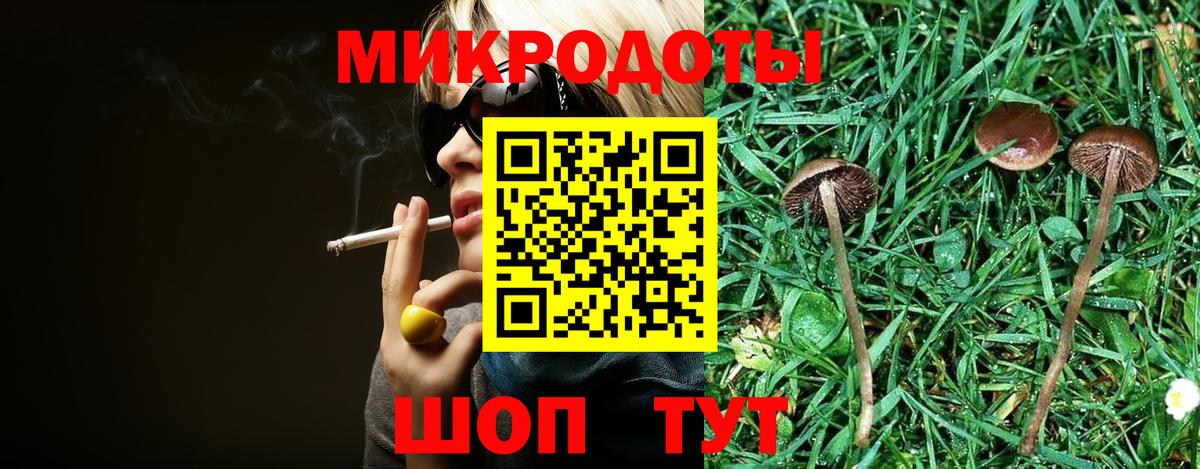 Псилоцибиновые грибы Psilocybine cubensis Архангельск