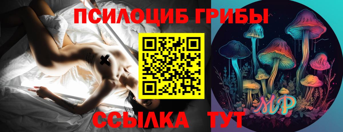 Псилоцибиновые грибы Psilocybine cubensis  Псилоцибиновые грибы мицелий  Вход с VPN  Архангельск 